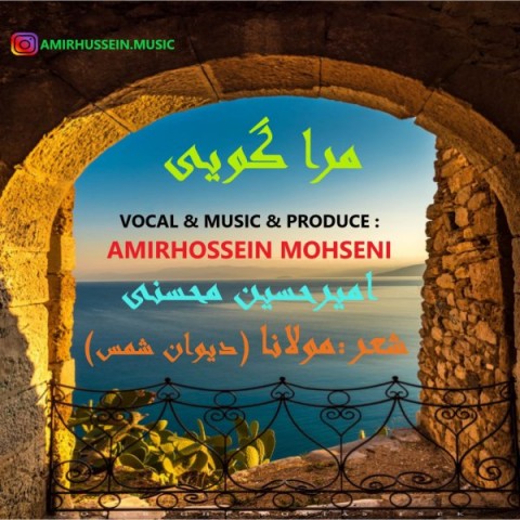 امیرحسین محسنی مرا گویی